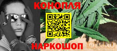 шишки Бузулук