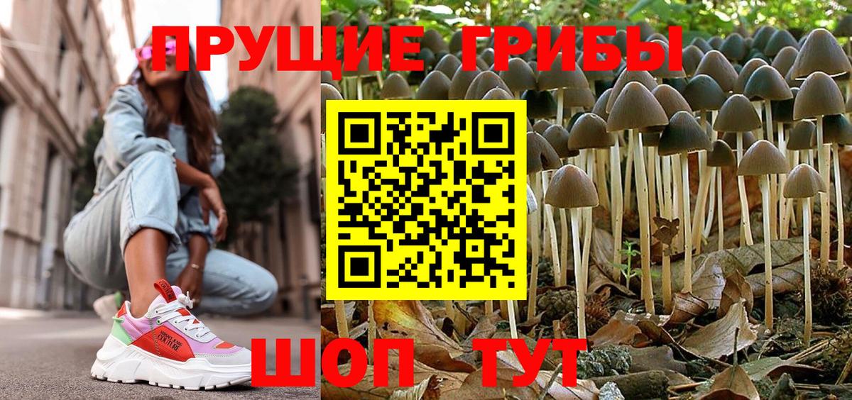 Псилоцибиновые грибы MAGIC MUSHROOMS Оренбург